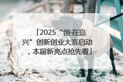 2025“创·在嘉兴”创新创业大赛启动，本届新亮点抢先看