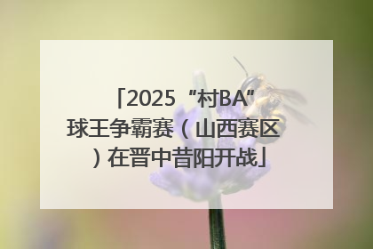 2025“村BA”球王争霸赛（山西赛区）在晋中昔阳开战