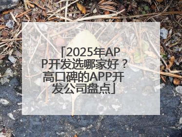 2025年APP开发选哪家好？高口碑的APP开发公司盘点