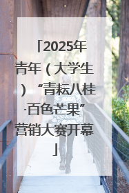 2025年青年（大学生）“青耘八桂·百色芒果”营销大赛开幕