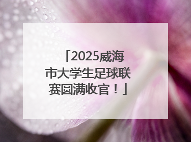 2025威海市大学生足球联赛圆满收官！