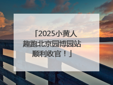 2025小黄人趣跑北京园博园站顺利收官！