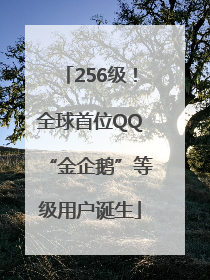 256级！全球首位QQ“金企鹅”等级用户诞生