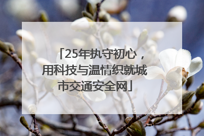 25年执守初心，用科技与温情织就城市交通安全网