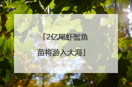 2亿尾虾蟹鱼苗将游入大海