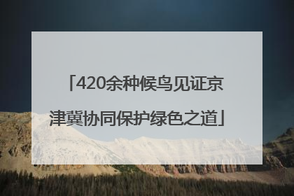 420余种候鸟见证京津冀协同保护绿色之道