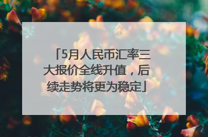 5月人民币汇率三大报价全线升值，后续走势将更为稳定