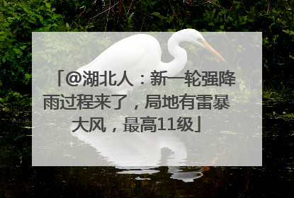 @湖北人：新一轮强降雨过程来了，局地有雷暴大风，最高11级