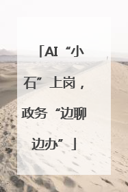 AI“小石”上岗，政务“边聊边办”