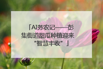 AI务农记——彭集街道甜瓜种植迎来“智慧丰收”