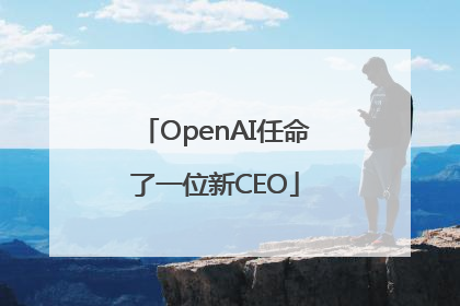 OpenAI任命了一位新CEO
