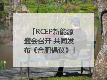 RCEP新能源盛会召开 共同发布《合肥倡议》